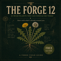 The Forge 12 — Wild Edible Plant Field Guide